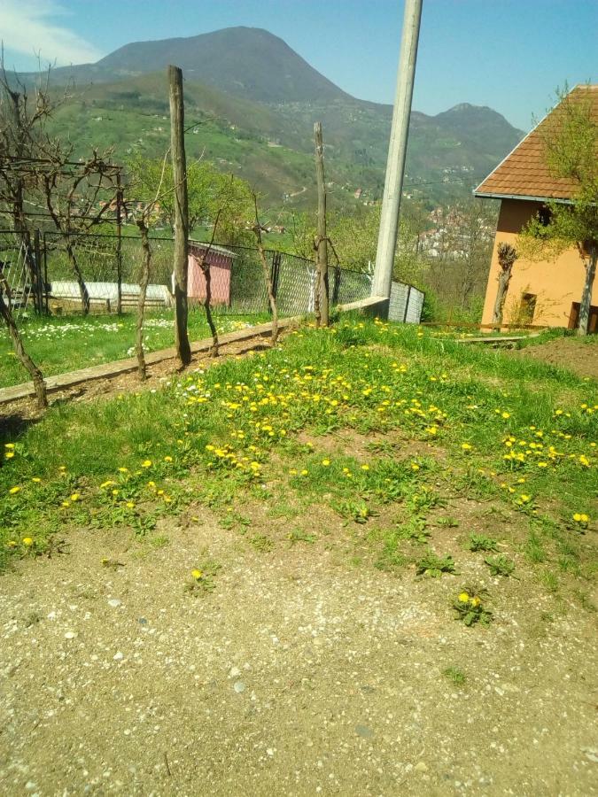 Smestaj Rakovic Pribojska Banja Экстерьер фото